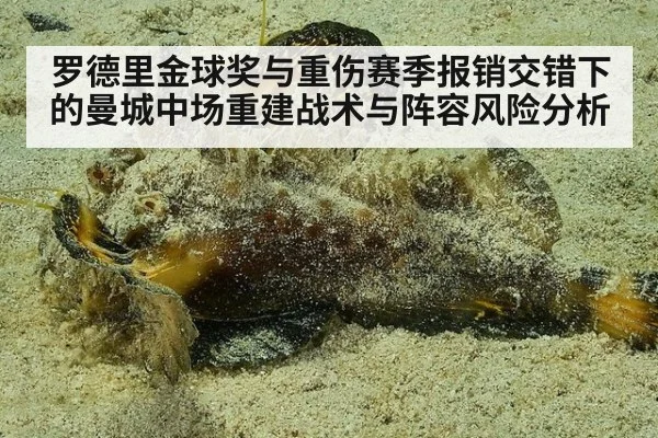 罗德里金球奖与重伤赛季报销交错下的曼城中场重建战术与阵容风险分析